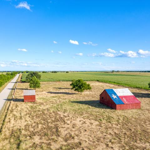 A farm with a barn painted like the Texas flag.